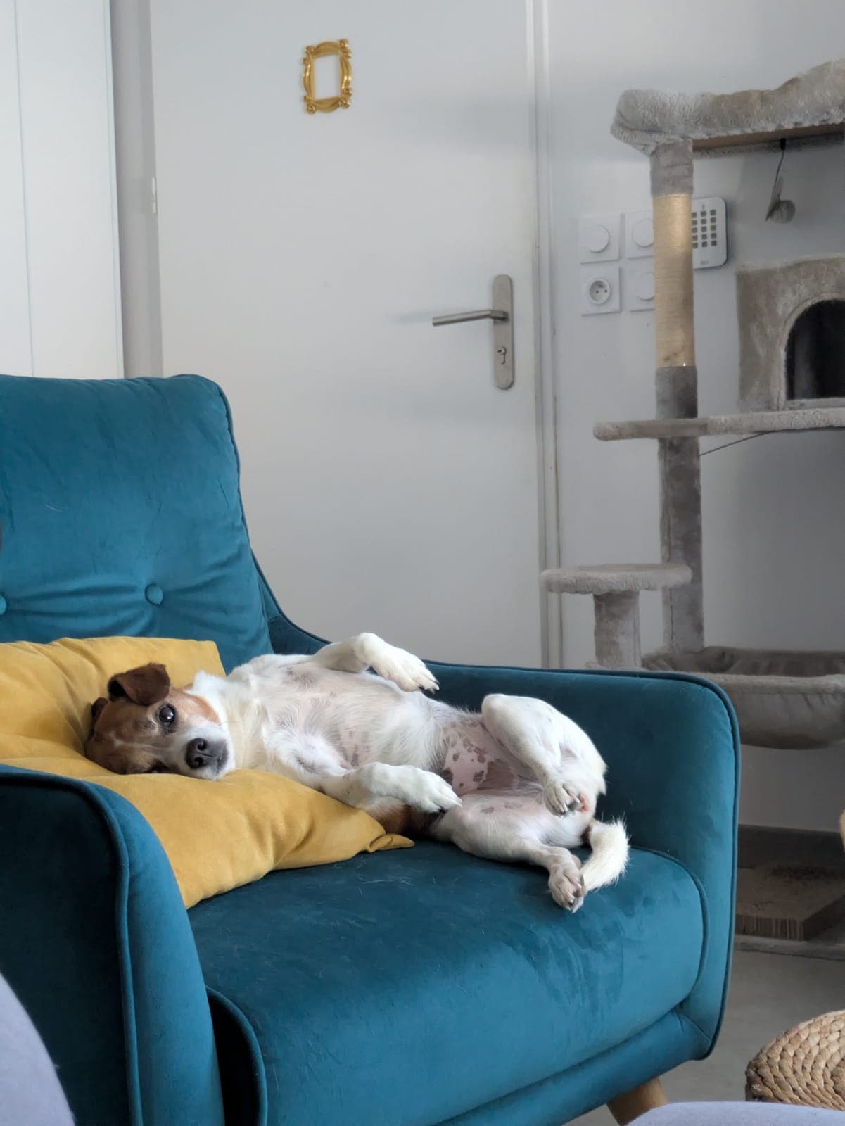 Photo de nos animaux 5
