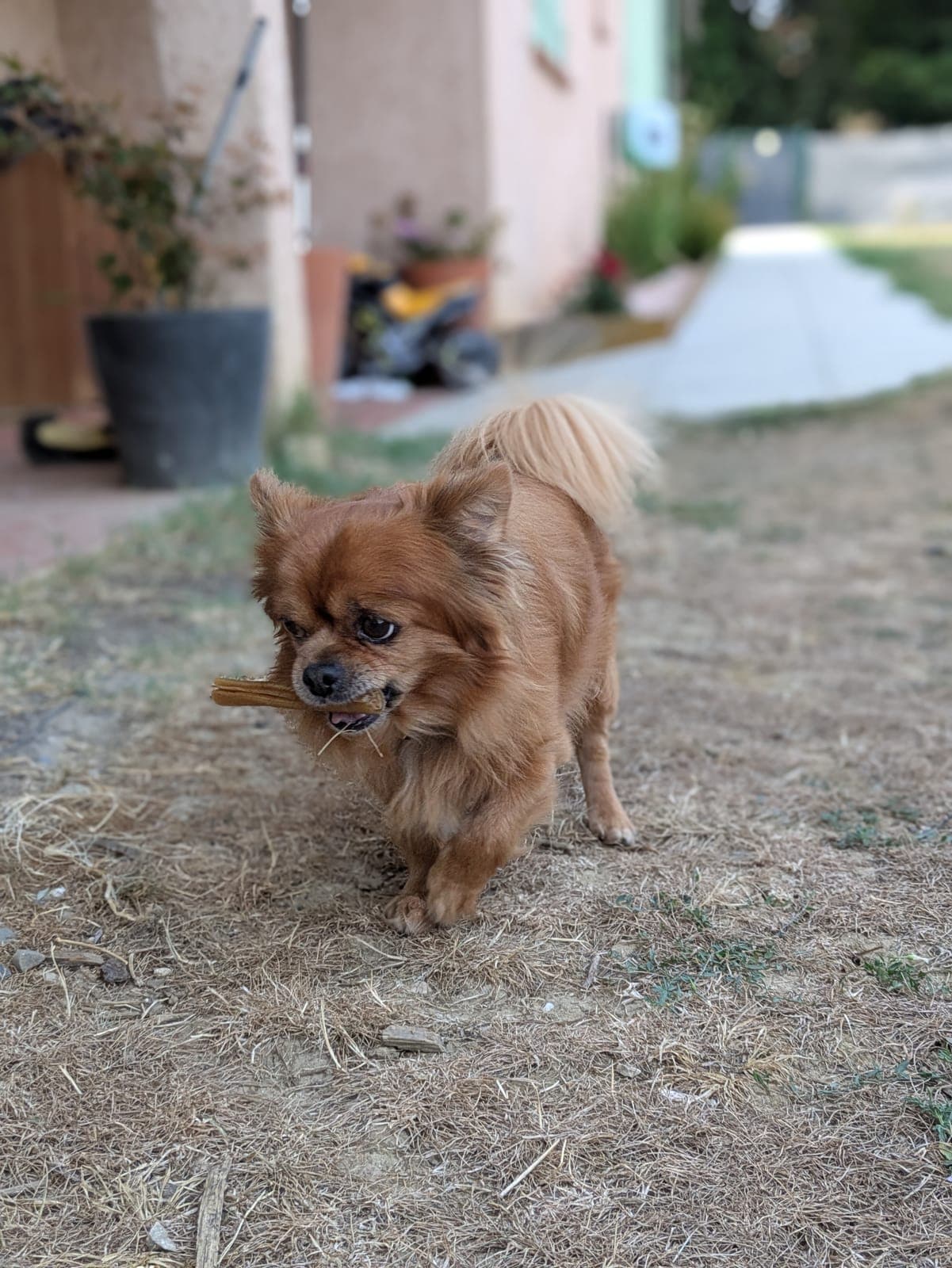 Photo de nos animaux 7
